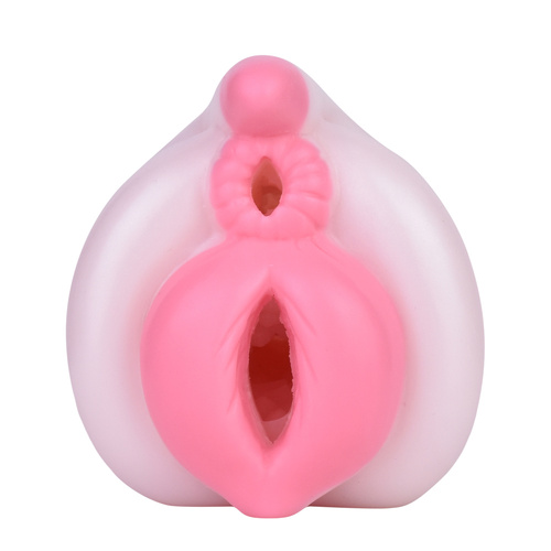 Little Pig Zhu Zhu Pussy
